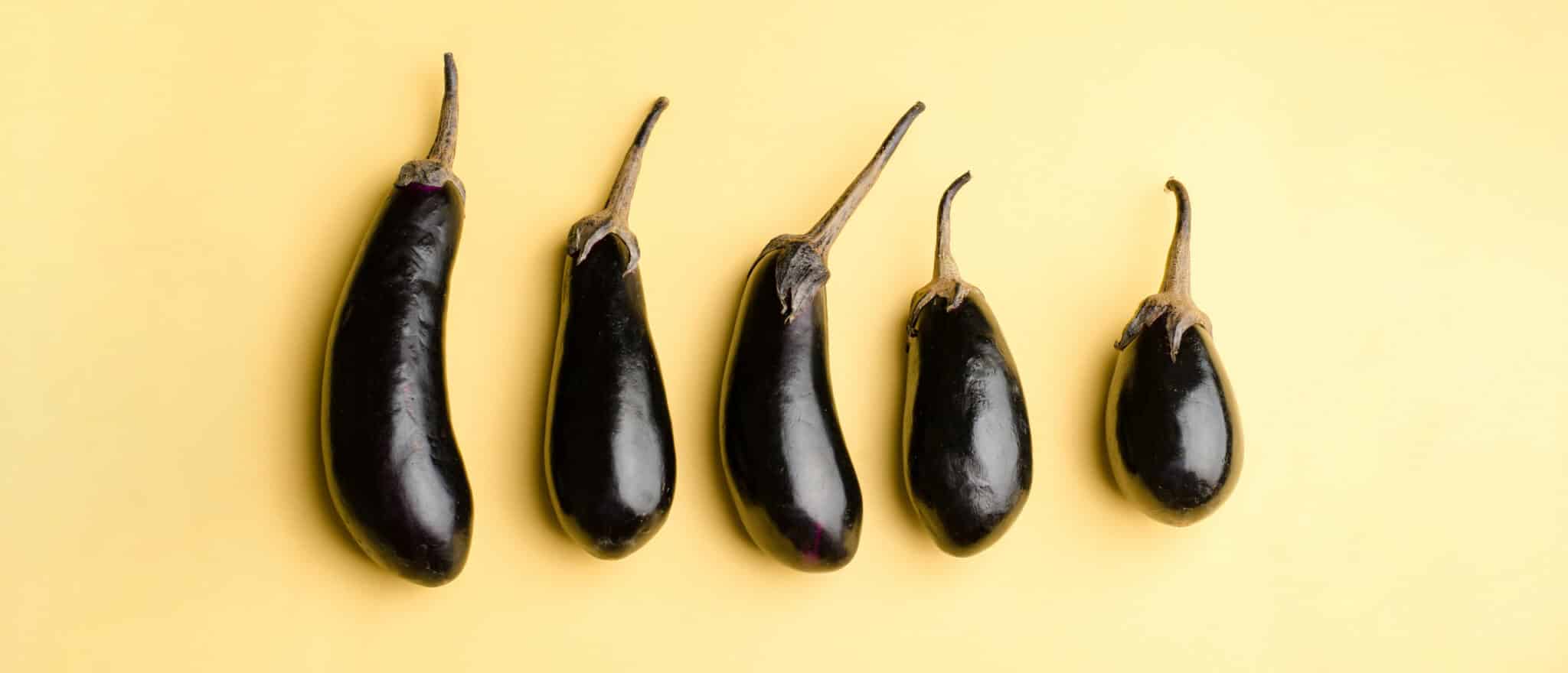 The Best Foods for Your Erection