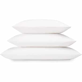 RejuveNite Latex Pillow
