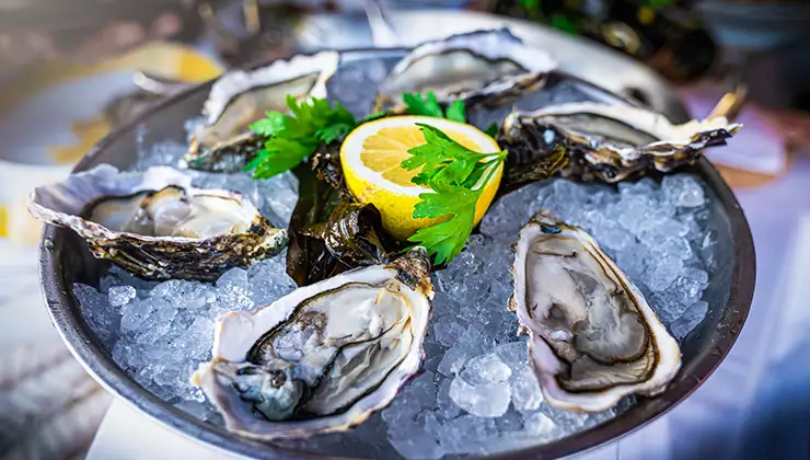 Raw oysters in a bowl of ice with lemon