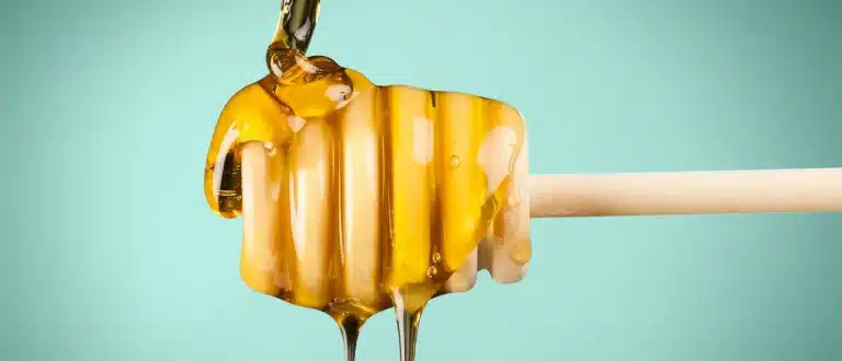 Honey dripping off of a honey stick