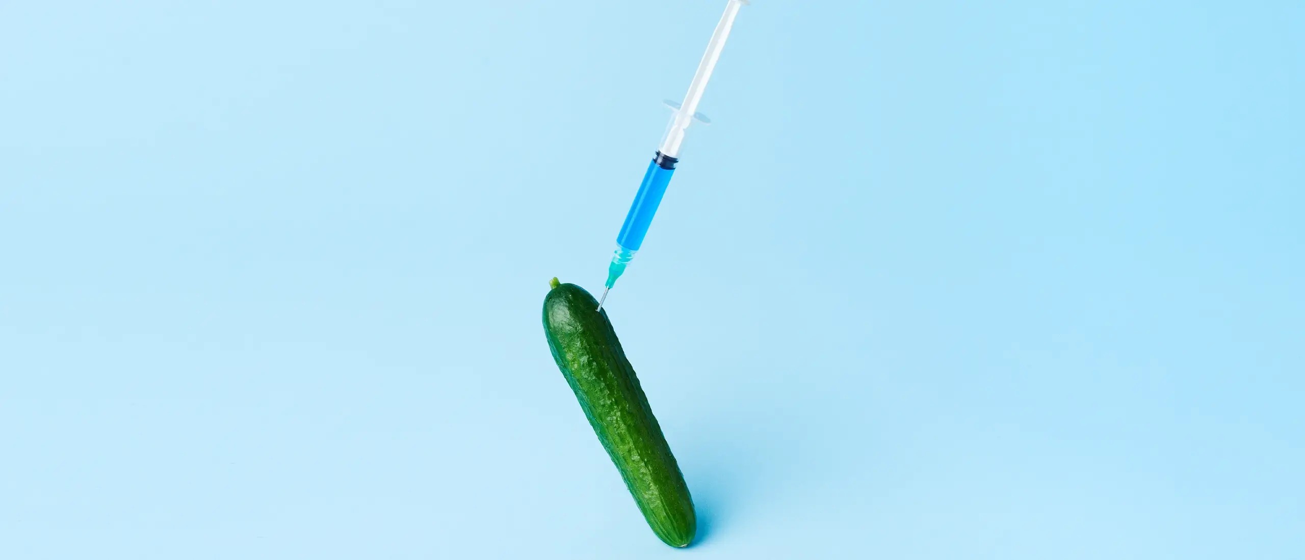 needle injected into cucumber
