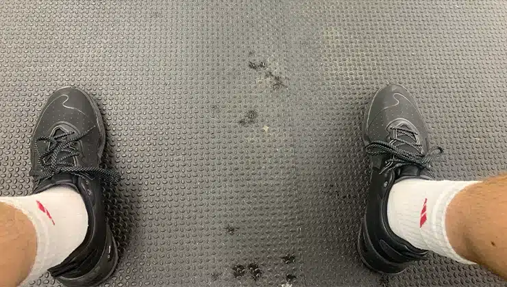 closeup of shoes in gym