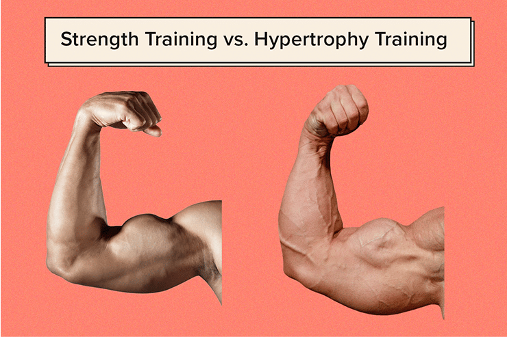 strength vs. hypertrophy