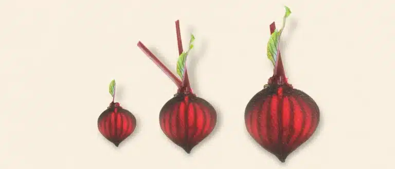 nitric oxide beets