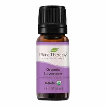 Plant Therapy Organic Lavender Essential Oil on white background