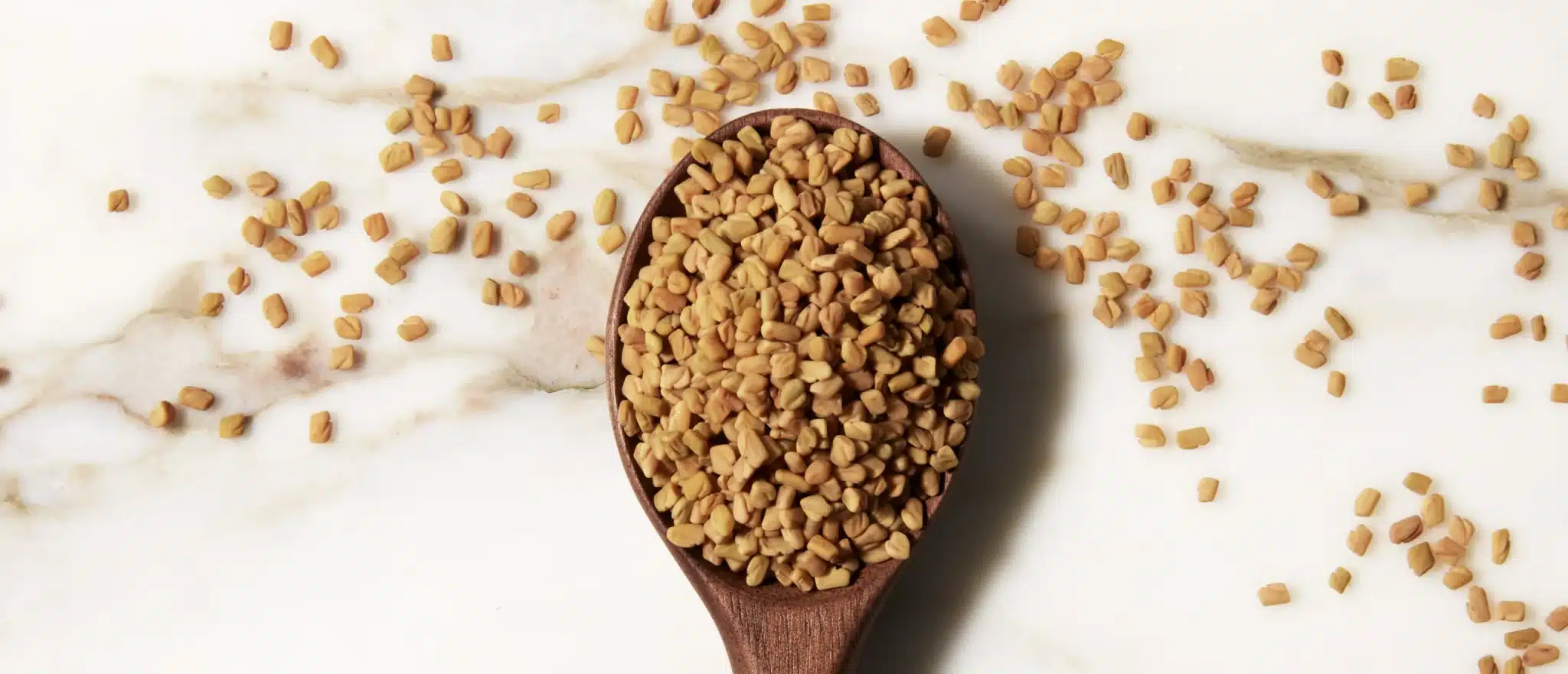 Can Fenugreek Really Boost Testosterone? Here’s Your Final, Expert-Backed Answer