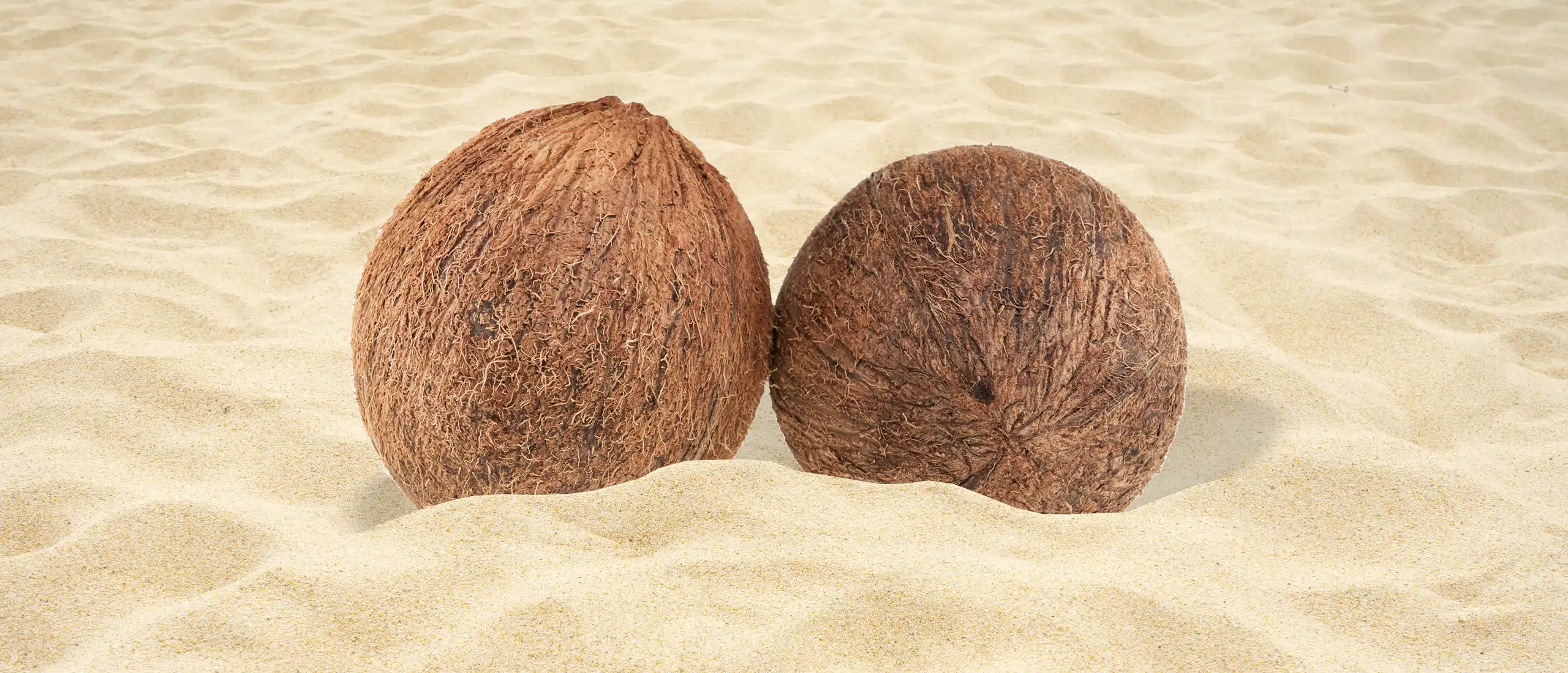 Two coconuts side by side in the sand