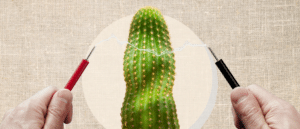 Hands holding electrodes shocking a phallic cactus