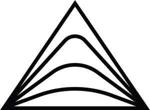 Black Triangle Hone Health logo