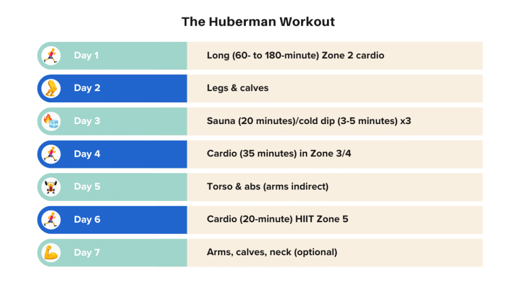 Huberman's weekly workout routine as outlined in detail in his foundational fitness protocol