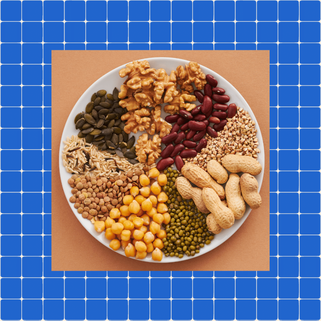nuts and seeds on a platter on blue grid background